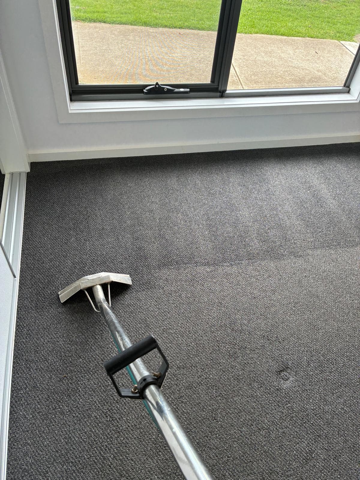 Professional carpet steam cleaning in progress